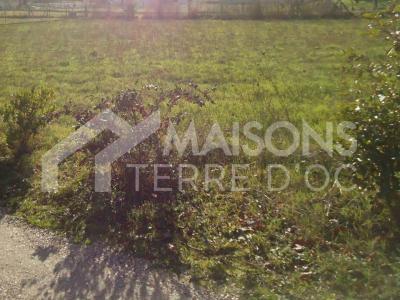 Vente Terrain LASGRAISSES  81