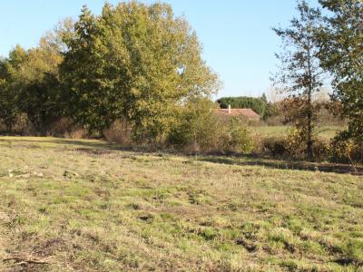 Vente Terrain NEGREPELISSE  82