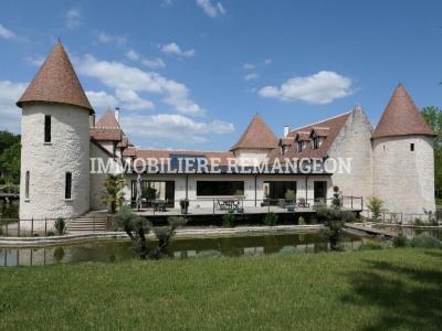 For sale Prestigious house REUILLY  36