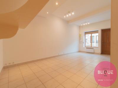Vente Immeuble TREVERAY 55130