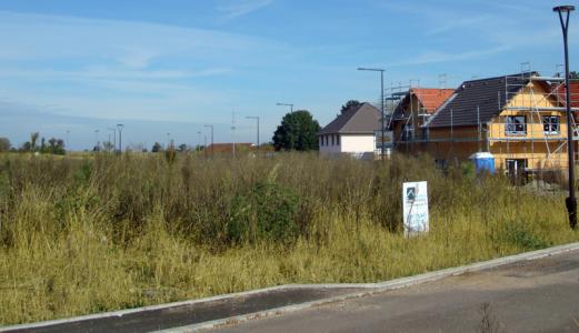 For sale Land OTTMARSHEIM  68