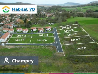 For sale Land CHAMPEY  70