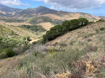 photo For sale Land BANYULS-SUR-MER 66