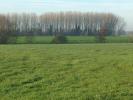 For sale Land Wargnies-le-grand  59144 1982 m2