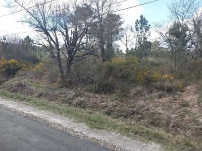 photo For sale Land ARSAC 33