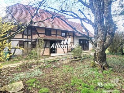 For sale Prestigious house TRAUBACH-LE-HAUT  68