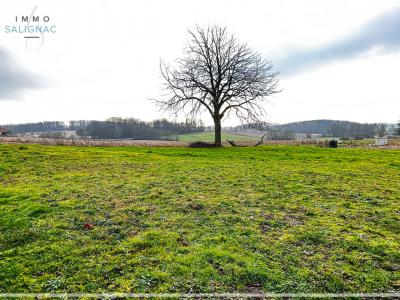 photo For sale Land SAINT-SULPICE 01