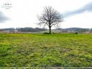 For sale Land Saint-sulpice  01340