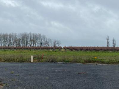 photo For sale Land MONTREUIL-BELLAY 49