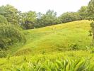 For sale Land Gros-morne  97213