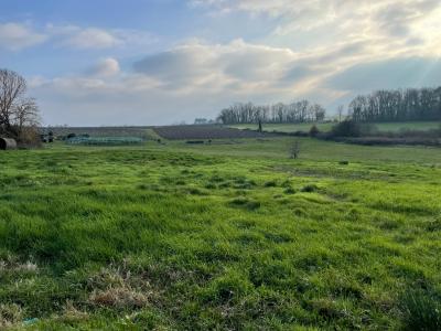 For sale Land SAINT-SAUVEUR-DE-PUYNORMAND  33