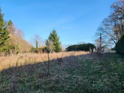For sale Land ROYERES  87