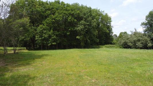 photo For sale Land SEYCHES 47