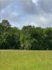 For sale House Sainte-eulalie-en-born 40200 85 m2 4 rooms