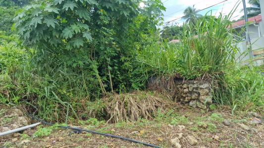 For sale Land ABYMES  971