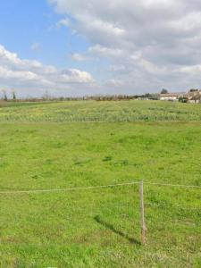 photo For sale Land ALBON 26