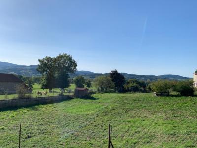 photo For sale Land SAINT-FORGEUX-LESPINASSE 42