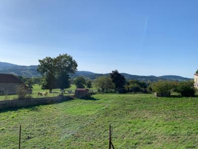 For sale Land SAINT-FORGEUX-LESPINASSE  42