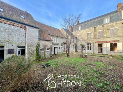 Vente Maison 20 pices PUISEAUX 45390