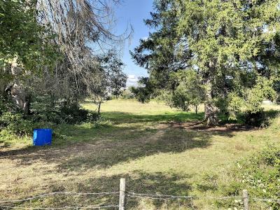 photo For sale Land MALBOUHANS 70