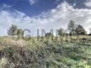 Land PEYRE 
