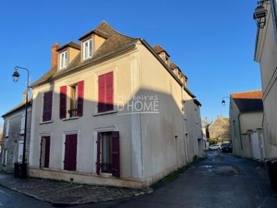 photo For sale Apartment building ROZAY-EN-BRIE 77