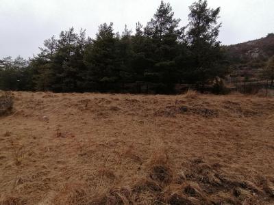 For sale Land CAILLE  06