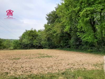 Vente Terrain ROCHE-SUR-YON 85000