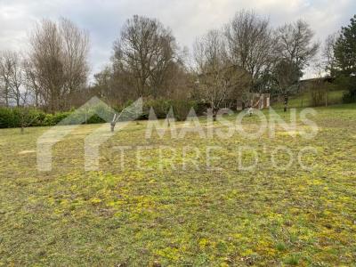 photo For sale Land NAVES 81