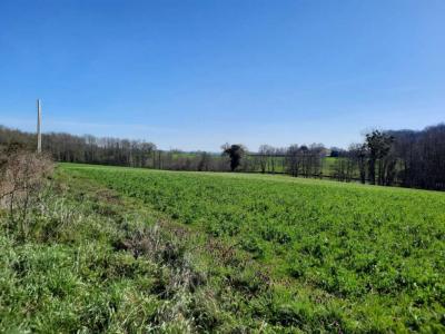 Vente Terrain MEZIERES-SOUS-LAVARDIN  72