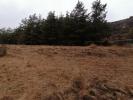 For sale Land Caille  06750 3000 m2