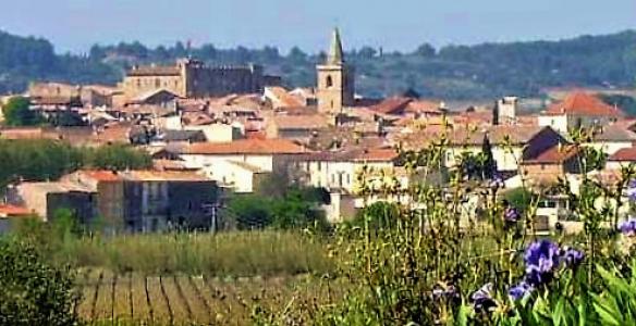 For sale House PUISSERGUIER 