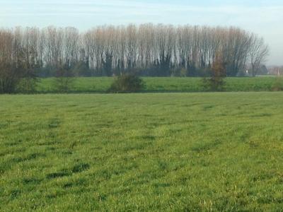 For sale Land SOLESMES  59