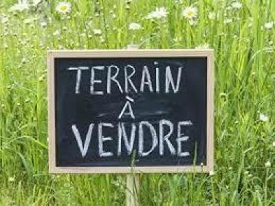 photo For sale Land VIC-LE-FESQ 30