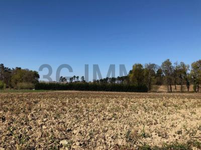 photo For sale Land MOMUY 40