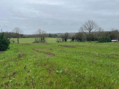 For sale Land REORTHE  85