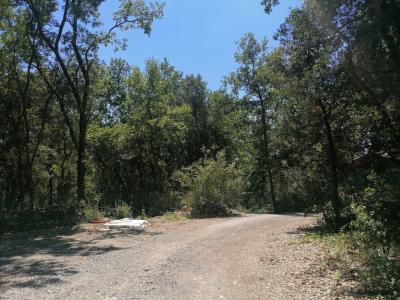 photo For sale Land QUISSAC 30