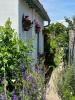 House SAUJON 