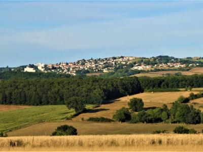 Vente Terrain SAINT-HEAND  42