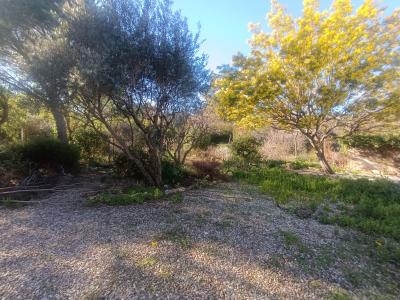 photo For sale Land PAULHAN 34