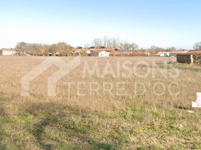 photo For sale Land PEYSSIES 31