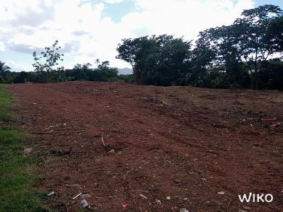 photo For sale Land DUCOS 972