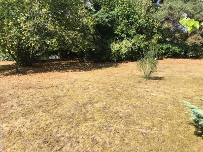 photo For sale Land BASSE-GOULAINE 44