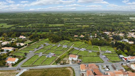photo For sale New housing CHAMPTOCEAUX 49