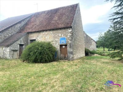 photo For sale House CHATELET 18