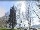 Apartment MONTAGNY-LES-LANCHES ANNECY