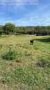 Annonce Vente Terrain Moncel-sur-seille