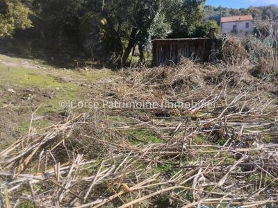 photo For sale Land ZONZA 20