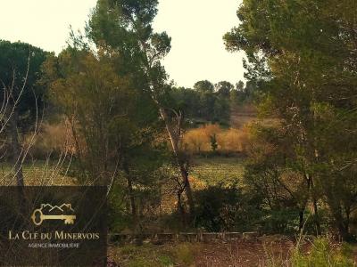 For sale Land RIEUX-MINERVOIS  11