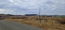 Acheter Terrain 1616 m2 Leboulin